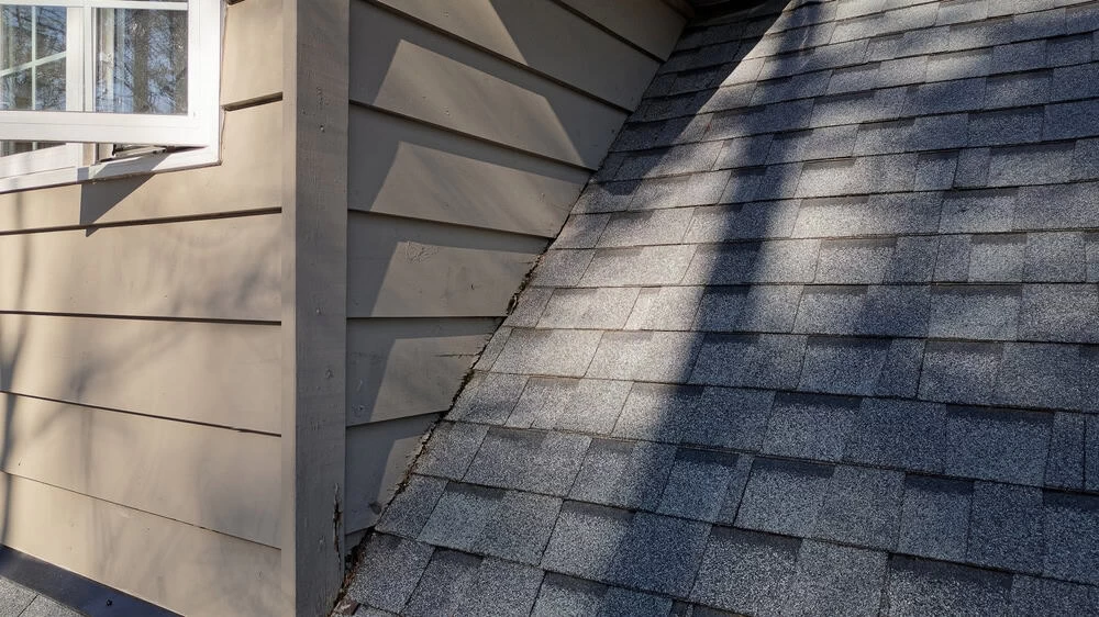 Close-up of a building's exterior showing a sloped roof with gray asphalt shingles meeting a vertical wall with horizontal beige siding.